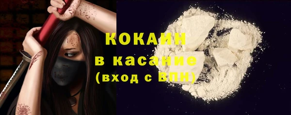 стаф Зеленокумск