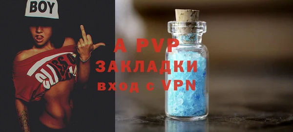 стаф Зеленокумск