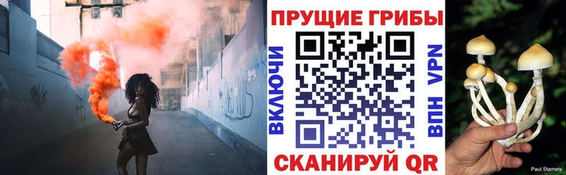 Галлюциногенные грибы Magic Shrooms  Купить где  Лянтор 